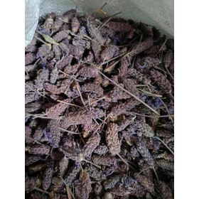 Doğanın Kalbi 200 gr Karabaş Otu