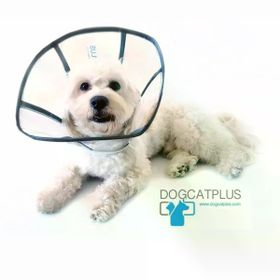 DogCatPlus Medium Elizabeth Şeffaf Yakalık