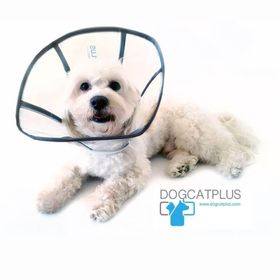 DogCatPlus Medium Elizabeth Şeffaf Yakalık