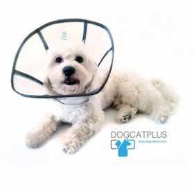 DogCatPlus Medium Elizabeth Şeffaf Yakalık