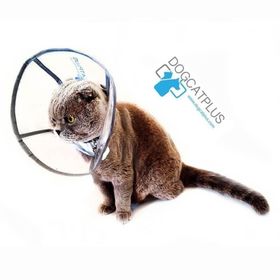 DogCatPlus Small Elizabeth Şeffaf Yakalık