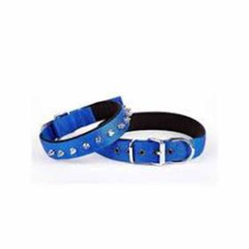 Doggie 2.5x37-45 cm Royalblue Konfor Dokuma Çivili Boyun Tasması