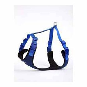 Doggie ADGT10-XXL-MV 70-95 cm Mavi Softlu Siyah Köpek Bel Tasması