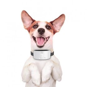 Doggie Ayarlanabilir Beyaz Havlama Önleyici Eğitim Tasması