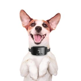 Doggie Ayarlanabilir Siyah Havlama Önleyici Eğitim Tasması