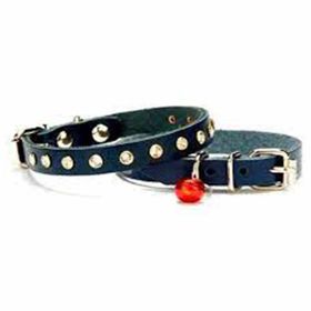 Doggie Boncuklu Mavi 1.2x32 cm Kedi Tasması