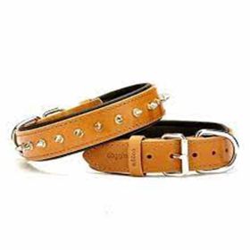 Doggie Camel 3.5x47-55 cm Comfort Medium Deri Çivili Köpek Boyun Tasması