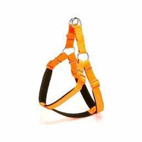 Doggie Comfort 70 cm L Boy Turuncu Bel Köpek Tasması