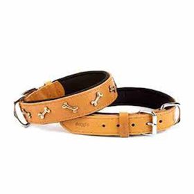 Doggie Comfort Camel 4x52-60 cm Medium Deri Kemik Süslü Köpek Boyun Tasması