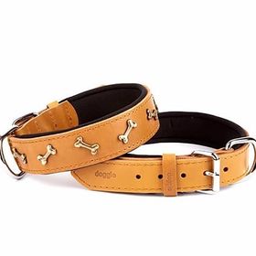 Doggie Comfort Camel 4x57-65 cm Large Deri Kemik Süslü Köpek Boyun Tasması
