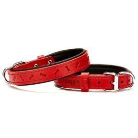 Doggie Comfort Deri Kemik Desenli 2x35 cm Small Kırmızı Köpek Boyun Tasması