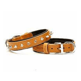 Doggie Comfort Medium Camel 2.5x37-45 cm Deri Rivetli Köpek Boyun Tasması