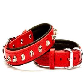 Doggie Comfort SBT-3512M Çivili Köpek Boyun Tasması