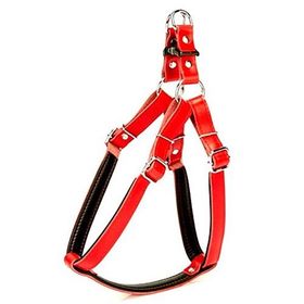 Doggie Deri 65 cm Large Köpek Boyun Tasması