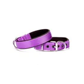 Doggie DSBT-2512 Mor Köpek Boyun Tasması