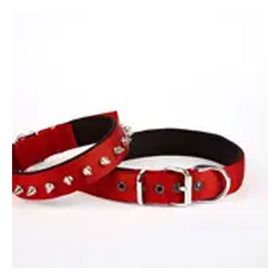 Doggie DSBT-2512L-KRMZ 2.5x60 cm Kırmızı Çivi Desenli Köpek Tasması