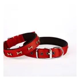 Doggie DSBT-2562-L-KRMZ 2.5x60 cm Kırmızı Softlu Dokuma Metal Kemik Süslü Tasma