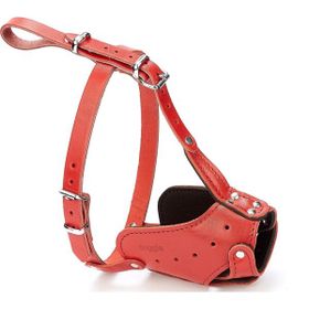 Doggie Eğitim Serisi El Yapımı Uzun Burunlu Kırmızı Köpek Ağızlığı