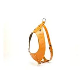 Doggie Gladyatör Camel XL Boy Köpek Göğüs Tasması