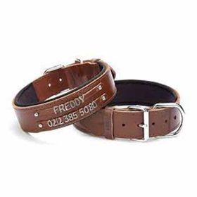 Doggie Kahverengi 3.5x52-60 cm S İsimlikli Deri Boyun Tasması