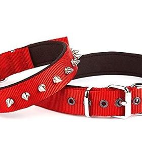 Doggie Kırmızı 2.5x42-50 cm Konfor Dokuma Boyun Tasması