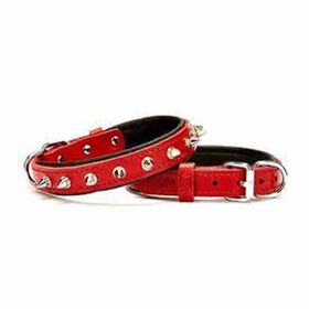 Doggie Kırmızı 2x35 40 cm Comfort Medium Deri Çivili Köpek Boyun Tasması