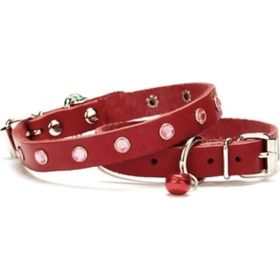 Doggie Kırmızı Deri Taşlı 1.0x19 cm Kedi ve Yavru Köpek Tasması