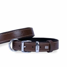 Doggie Konfor Deri Kahve 2.5x37- 45 cm Köpek Boyun Tasması