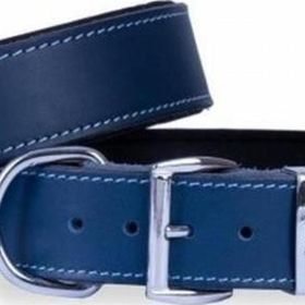 Doggie Konfor Deri Royalblue 4x47 55 cm Köpek Boyun Tasması