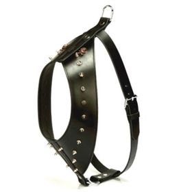 Doggie Konforlu El Yapımı Gladyatör Model Siyah 2x65-70 cm Köpek Göğüs Tasması