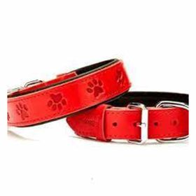 Doggie Konforlu El Yapımı Pati Desenli Kırmızı 3.5x52-60 cm Köpek Boyun Tasması