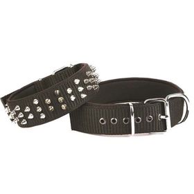 Doggie Large 5x60-70 cm Siyah Comfort Dokuma Çivili Köpek Boyun Tasması