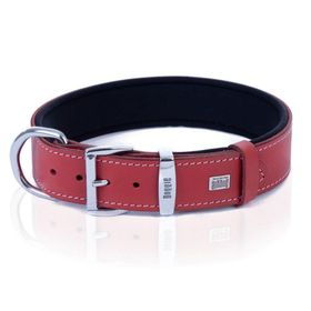 Doggie M 2.5x37-45 cm Konfor Gerçek Deriden El Yapımı Pati Desenli Kırmızı Köpek Boyun Tasması