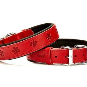 Doggie Medium Kırmızı 3X42-50 cm Comfort Deri Pati Desenli Köpek Boyun Tasması