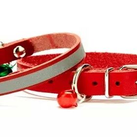 Doggie Reflektifli Kırmızı 1.0x28 cm Kedi Tasması