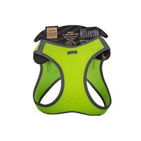 Doggie Sarı L 42-48 cm Havalı Dokuma Neon Serisi Küçük Irk Köpek Göğüs Tasması