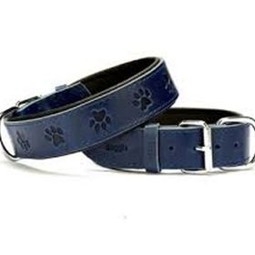 Doggie SBT-2036M Pati Desenli Köpek Boyun Tasması