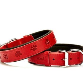 Doggie SBT-3036M Pati Desenli Köpek Boyun Tasması