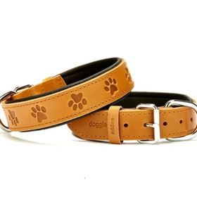 Doggie SBT-4036M Pati Desenli Köpek Boyun Tasması