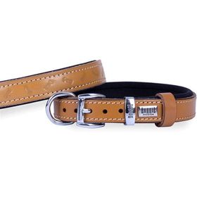 Doggie SBT M Camel Kemik Desen Baskılı Boyun Tasması