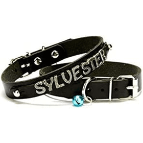Doggie Siyah 1.2x25-29 cm Kedi Ve Yavru Köpek İsimlikli Deri Boyun Tasması