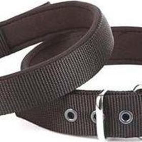 Doggie Siyah 2,5x42 50 cm Comfort Dokuma Large Köpek Boyun Tasması