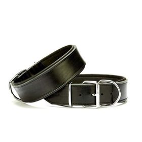 Doggie Siyah 5x50-60 cm Small Güçlü Deri Köpek Boyun Tasması