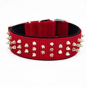 Doggie Small 5x50-60 cm Kırmızı Comfort Dokuma Çivili Köpek Boyun Tasması