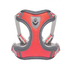 Doggie Small Gezdirmeli Kedi Köpek Armalı Göğüs Tasması