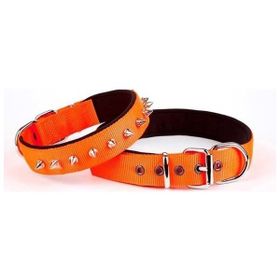 Doggie Turuncu 2,5x42 50 cm Comfort Dokuma Çivili Köpek Large Boyun Tasması