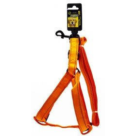 Doglife Fosforlu 2.5 cm Köpek Göğüs Tasması