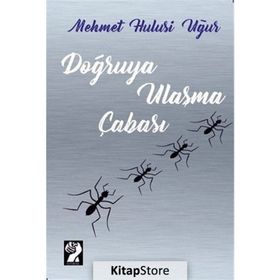 Doğruya Ulaşma Çabası - Mehmet Hulusi Uğur