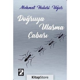 Doğruya Ulaşma Çabası - Mehmet Hulusi Uğur