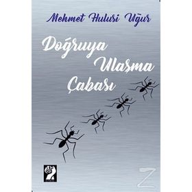 Doğruya Ulaşma Çabası - Mehmet Hulusi Uğur